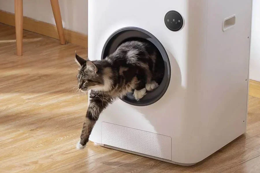 best automatic litter boxes